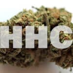 Your Quick Guide to HHC and Its Products