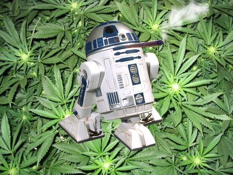 CBD Oil in Star Wars