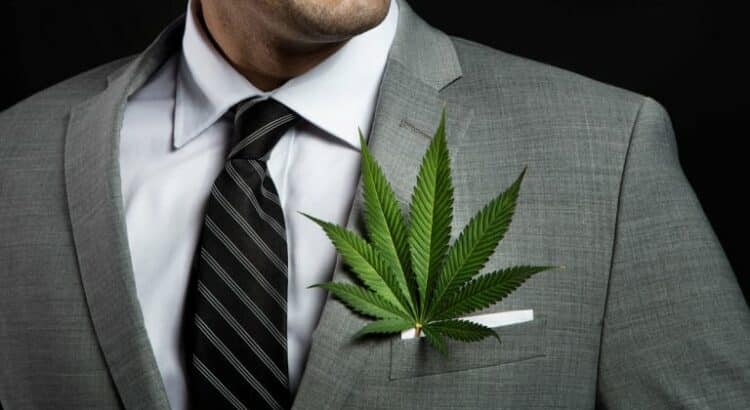 Navigating Financial Success: Essential Accounting Services for Cannabis Businesses